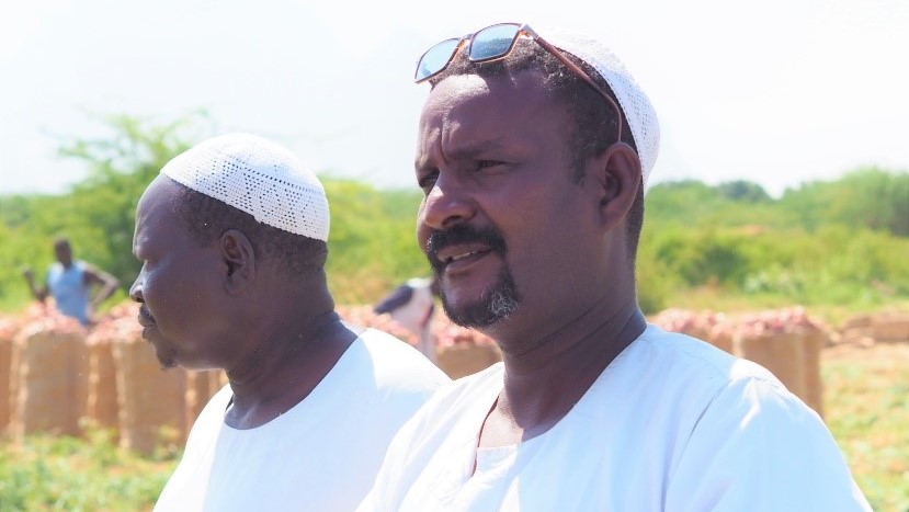 Improving livelihoods, food and nutrition security in Kassala State, Sudan