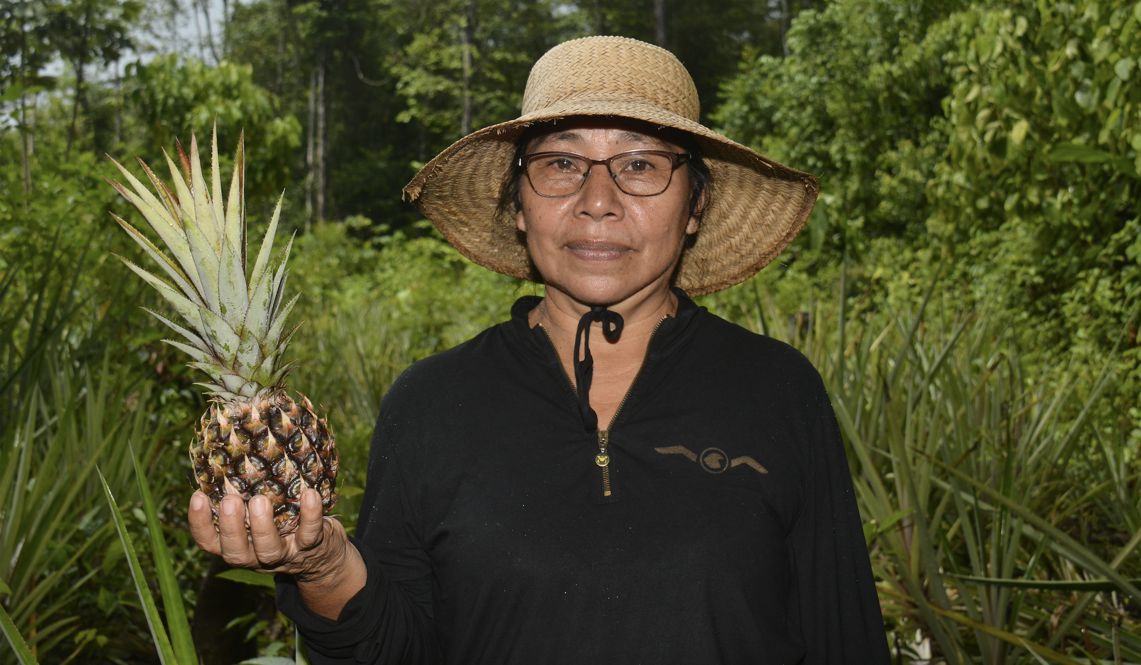 UN Joint SDG Fund approves support for Suriname’s pineapple sector