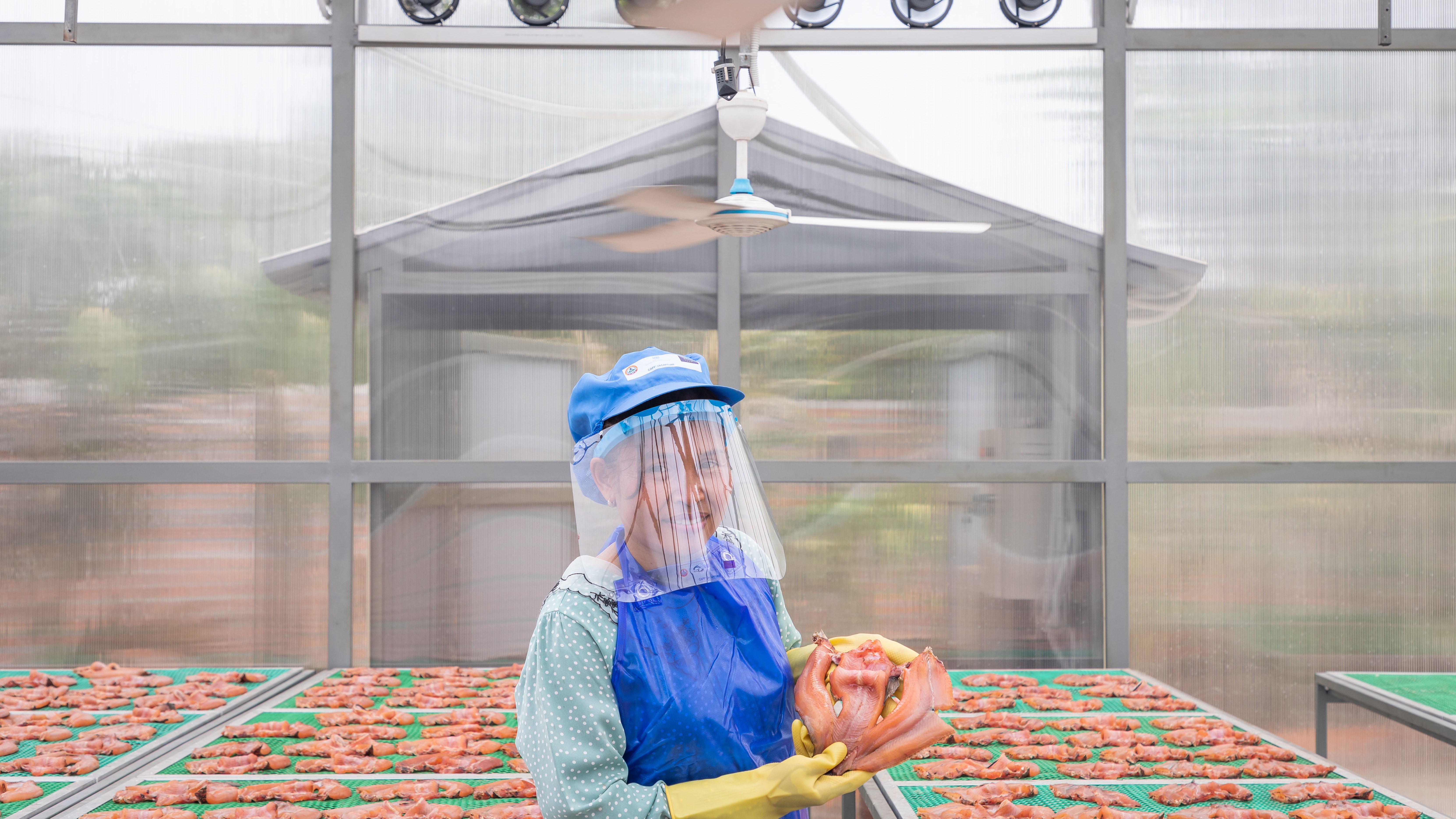 Theourn Sreyny drying fish in her solar dryer dome provided by the CAPFISH-Capture project, co-funded by the EU