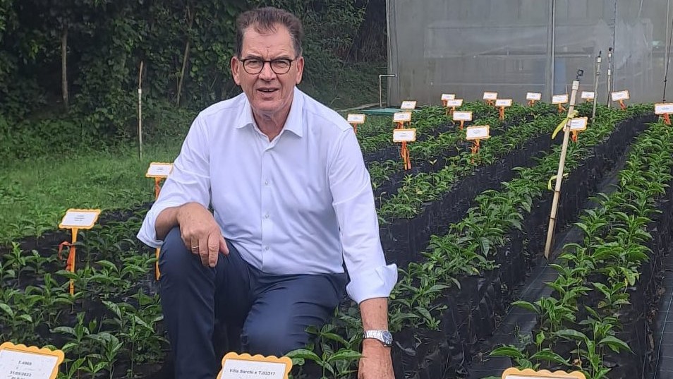 DG at Starbucks coffee nursery