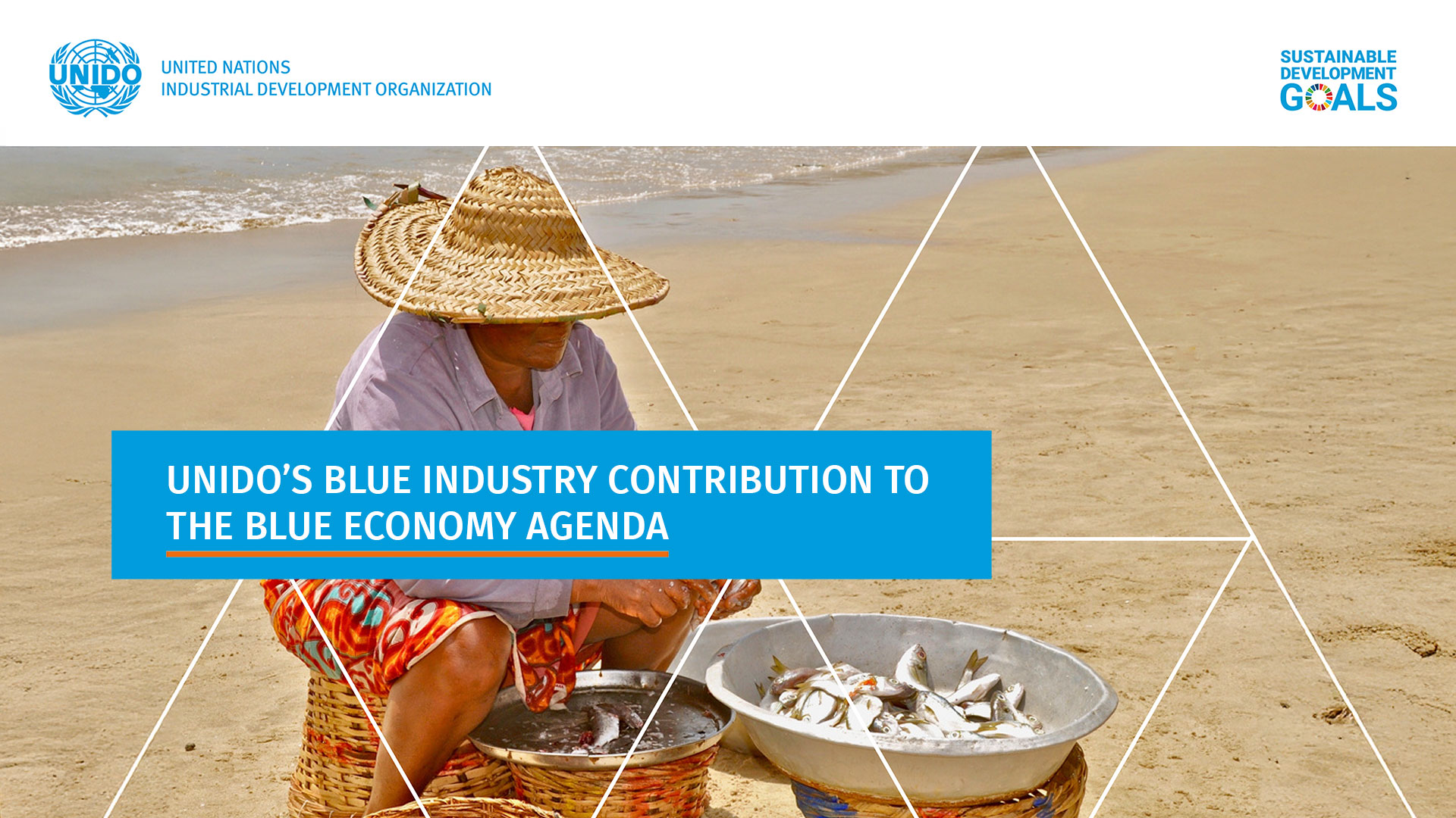 Expert Group Meeting on the Organization’s Blue Industry Contribution to the Blue Economy Agenda