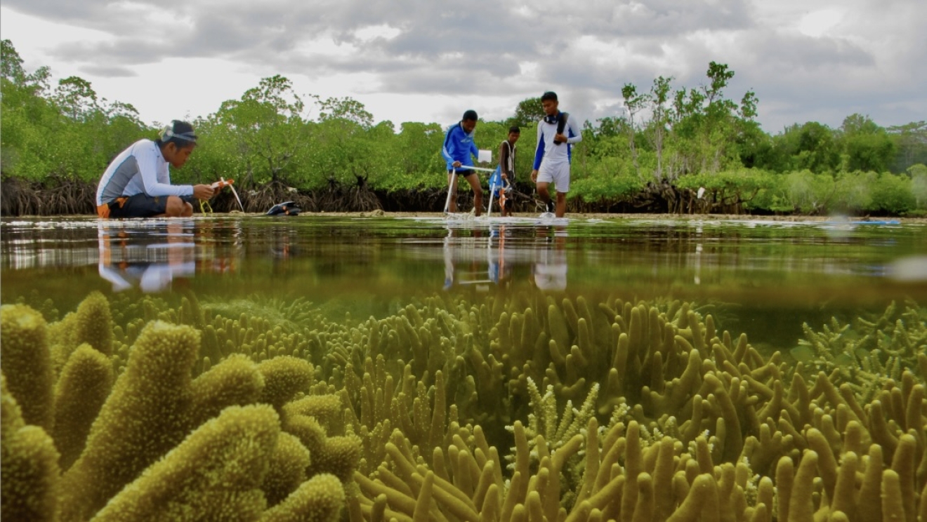 Blue agenda in Indonesia