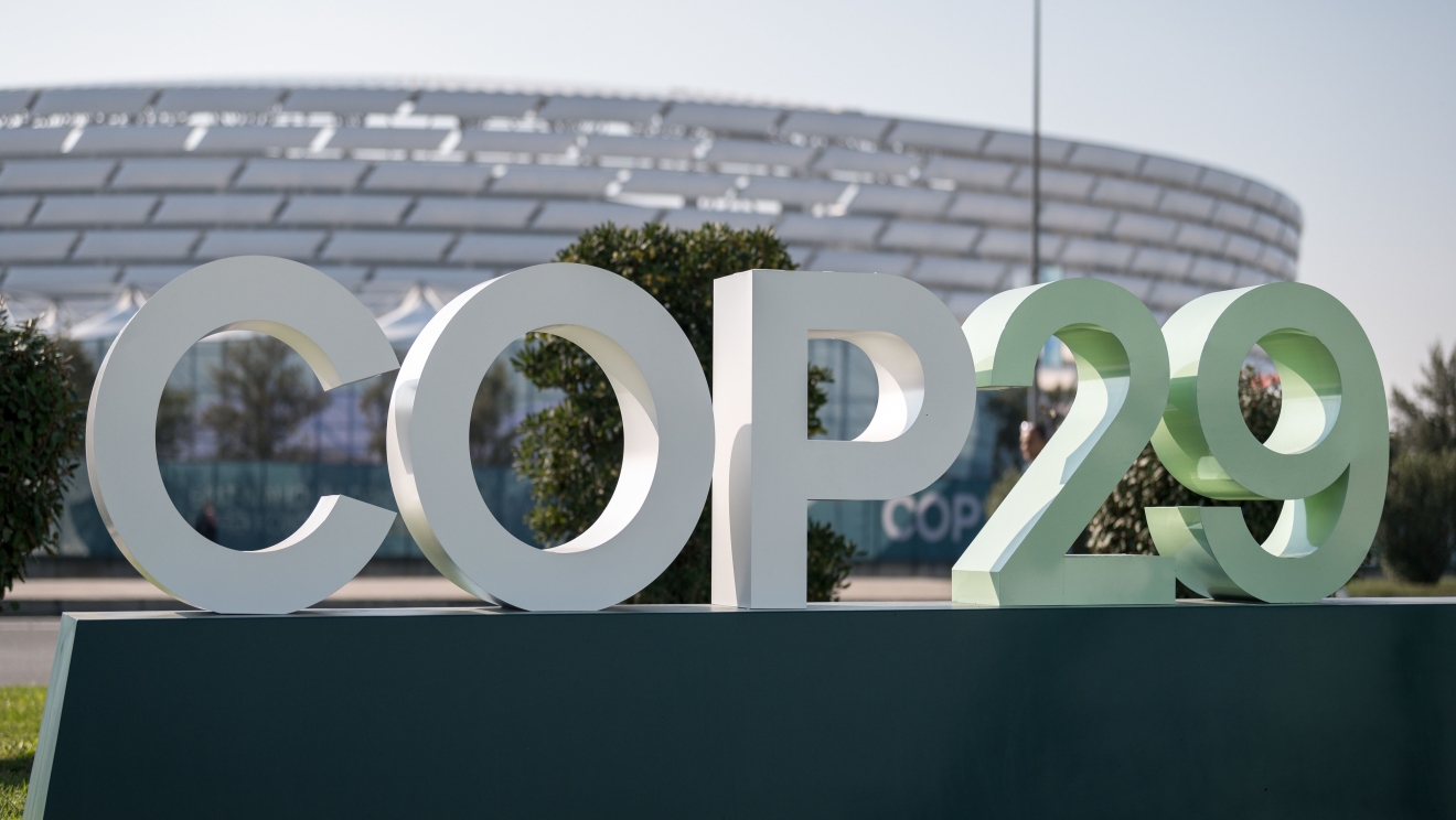 COP 29